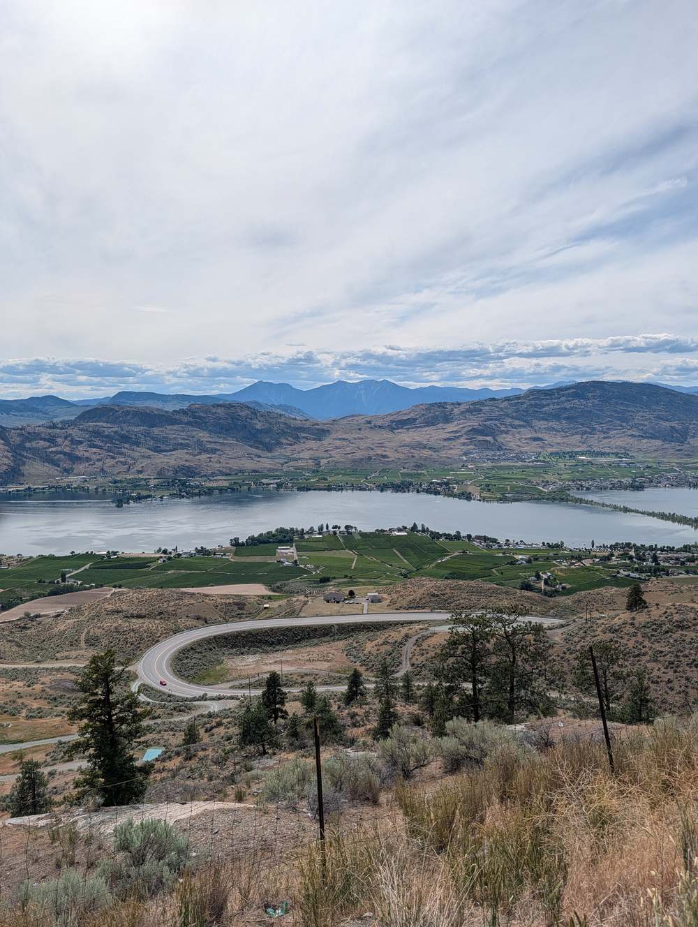 Highway switchback and vineyard valley view from Anarchist Mountain