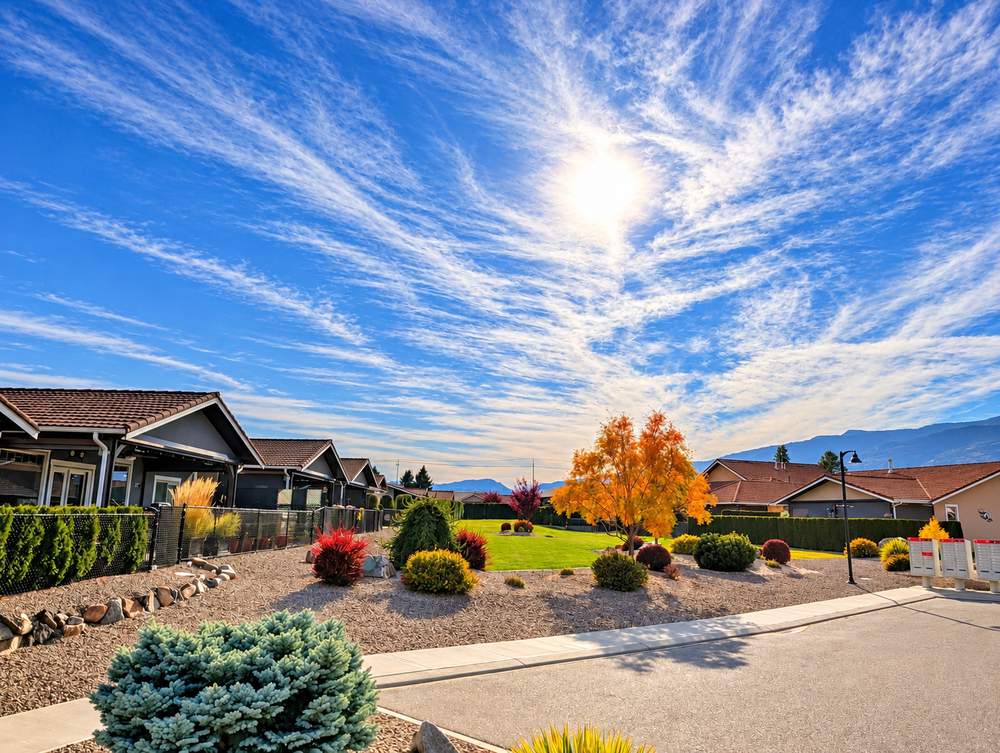 Community mailbox units at the end of a lawn with gravel beds, shrubs, an orange tree and dark-clad homes beside a street