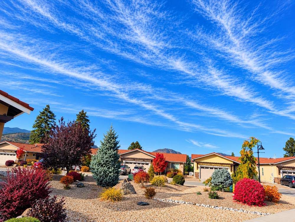 Xeriscaped front yards with gravel mulch, blue spruce, red and purple shrubs and stucco homes with garages at Canyon Desert Golf Villas