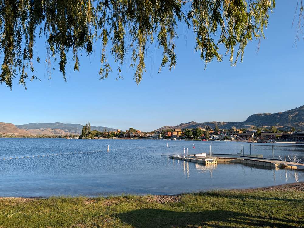 Willow tree over Osoyoos Lake with the town in the distance