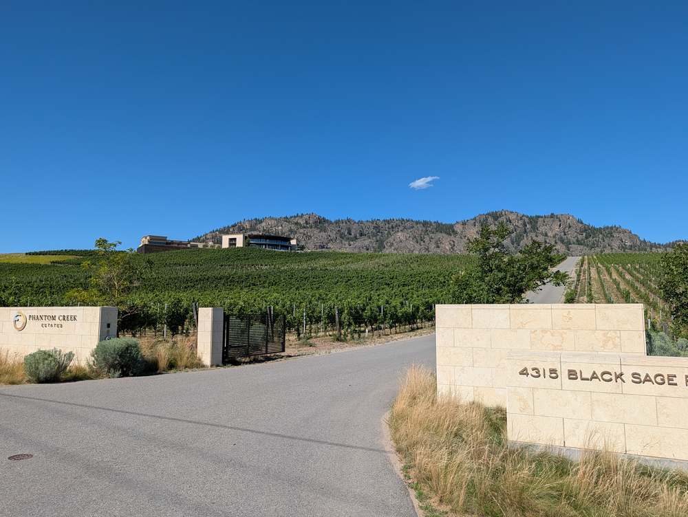 Vineyard rows leading up to a South Okanagan winery